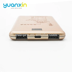 Custom LED Logo 5000mAh Power Bank