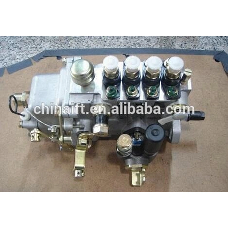 fuel injection pump asm 4954200rx