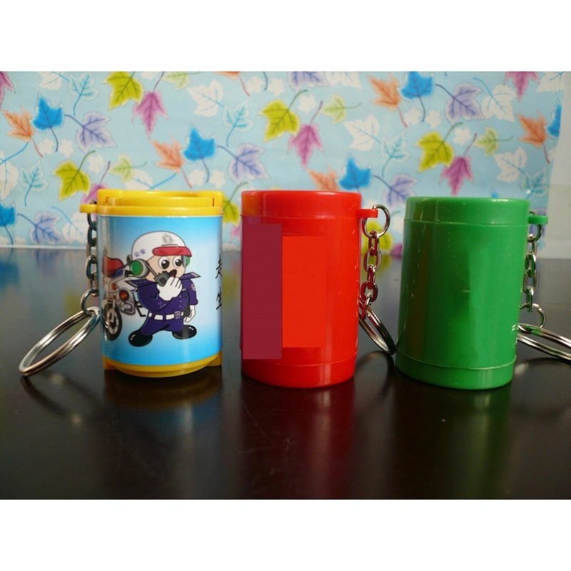 Hot Selling cylinder Shape Printed Colorful Coin Holder With Keychain For Promotional Gift