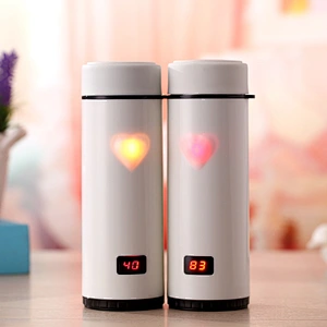 LED Stainless Steel Vacuum Cup/Flask