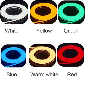 Waterproof IP68 Strip rgb blue yellow 220v 110v 12v 24v 50ft 150ft Flexible led neon lights for rooms