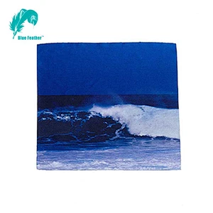 Digital Printing Glass Micro Fiber Cloth