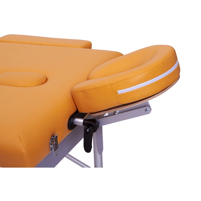 Body Choice Lightweight Massage Table & Health Care Product