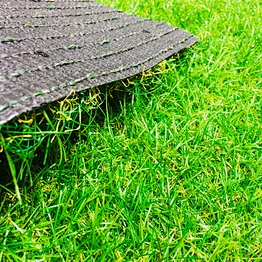 AAG Landscape grass Artificial Turf Best Quality