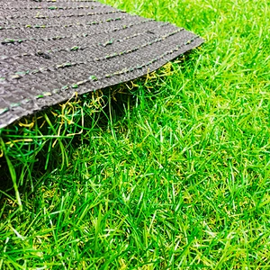 AAG Landscape grass Artificial Turf Best Quality