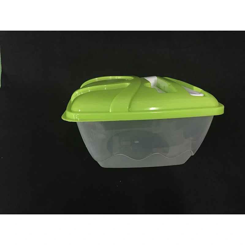 Reusable Lunch clear Bento Container Microwave And Freezer Safe Lunch Box With with knife and fork