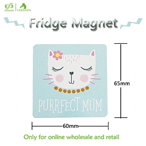 2018 square kittens patterned magnetic fridge,Lovely style and high quality refrigerator magnet in stock