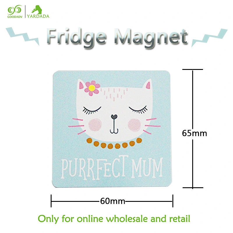 2018 square kittens patterned magnetic fridge,Lovely style and high quality refrigerator magnet in stock