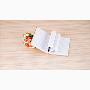 Customized logo A5 Brown kraft paper cover Spiral Coil Binding Notebook