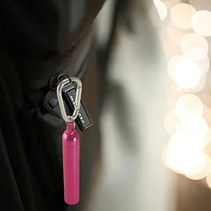 2018 HOT SELLING 1AAA BATTERY ALUMINIUM FLASHLIGHT TORCH 60 LUMENS PINK COLOR KEYCHAIN LIGHT