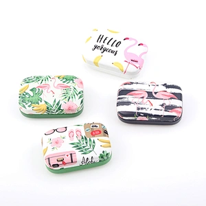 Flamingos Fruit Stria Eyeglasses Case Contact Lens Cases