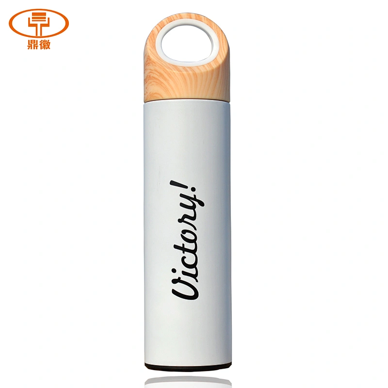 Guangzhou Wholesale Price Fashion Vacuum Flask Water Bottle Stainless Steel Vacuum Mug for Office Used