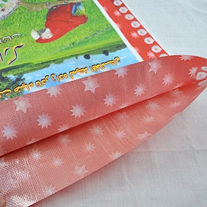 China pp bag for packaging corn rice bag 10kg