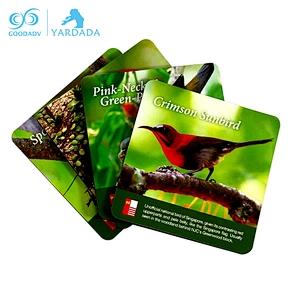 Hot sale OEM ODM design EVA coaster