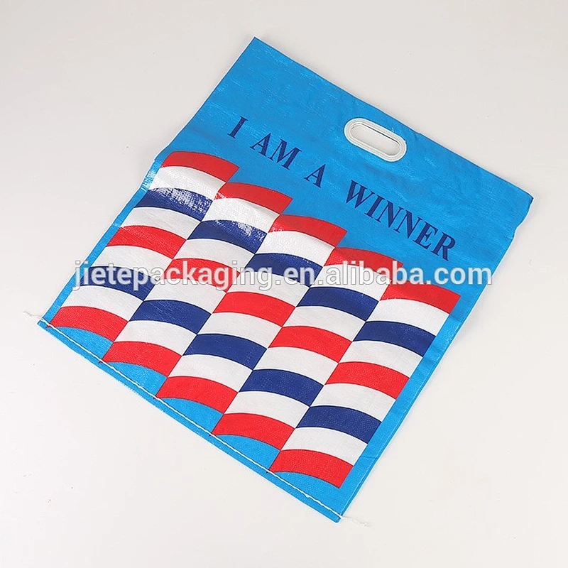 laminated plastic PP woven shopping bag new style with custom color printing