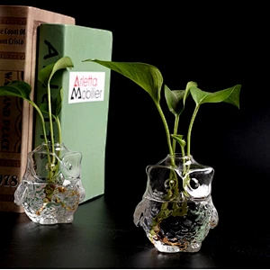 Owl Shaped Borosilicate Glass Flower Vase Hydroponic Flower Container Glass Owl Decoration For Home