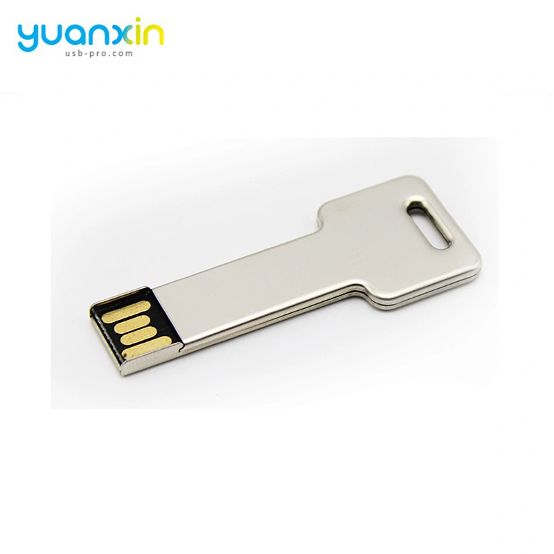 New products Custom Logo Printed usb key flash drives bulk