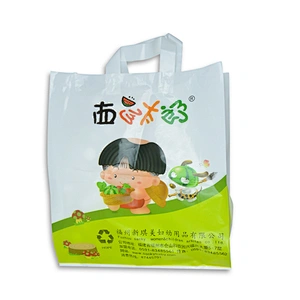 Custom PE shopping bag with handle wholesale