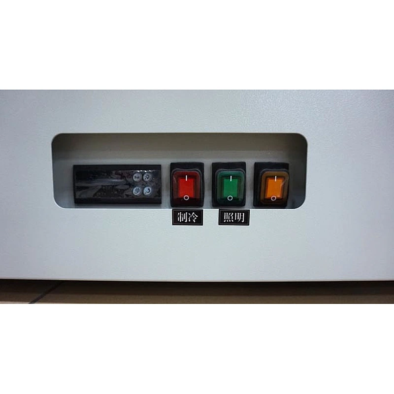 Commercial glass door lpg gas refrigerator for sale for chocolate, drink, fruit and vegetable