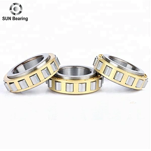 RN312M Cylindrical Roller Bearing