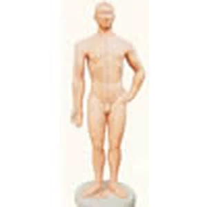 58 cm akupunktur model