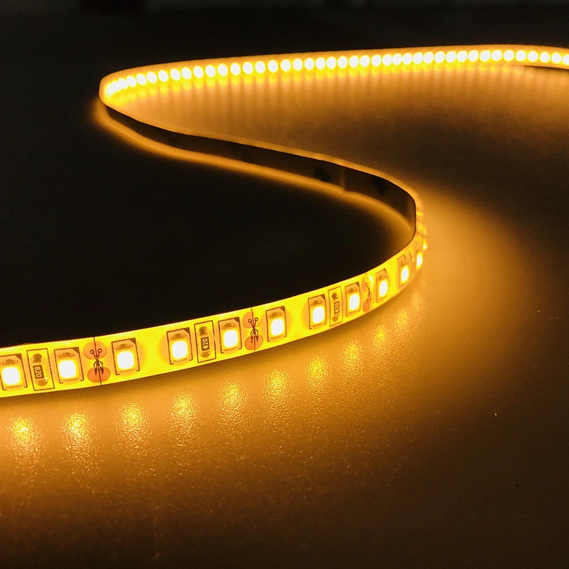 120LEDS/M 24VDC