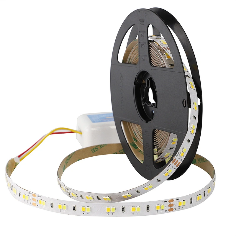 120LEDS/M 24VDC CCT