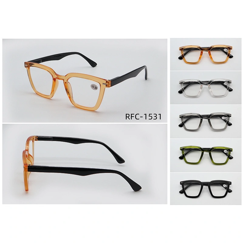 RFC-1531