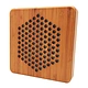 Active Directional Speaker System