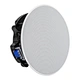 8Ω ceiling speaker