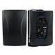 Multimedia Wall Mount Speaker