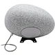 Lighting Garden Speaker