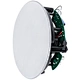 8Ω Ceiling Speaker