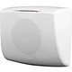 10W Wall Mount Speaker