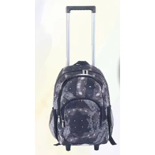 Trolley Backpack