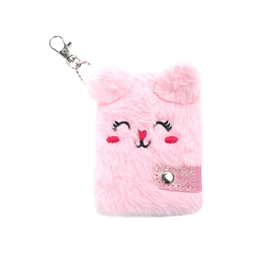 Accessory
