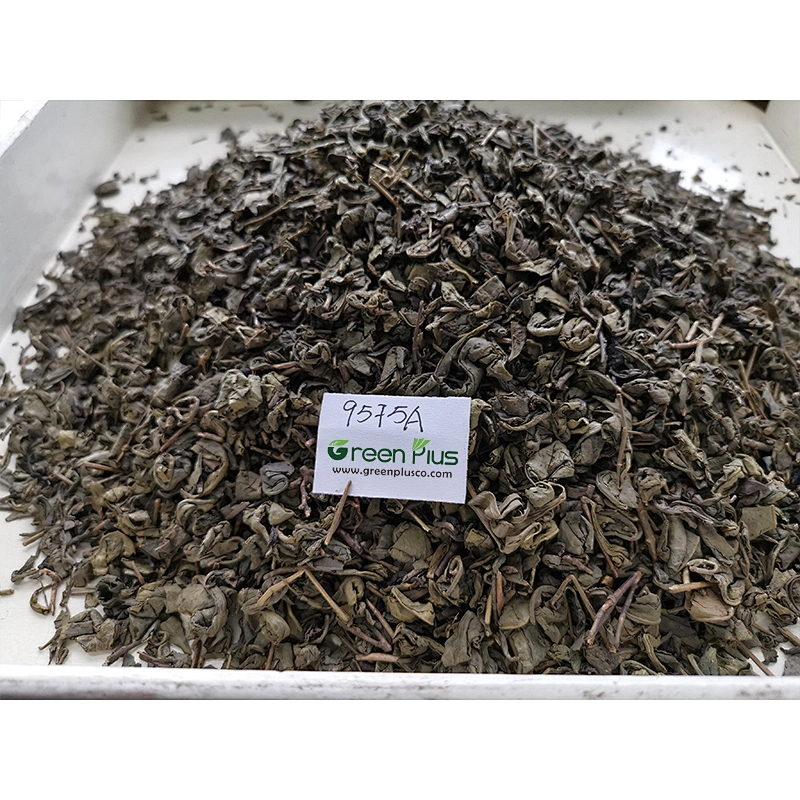 Gunpowder Tea 9575