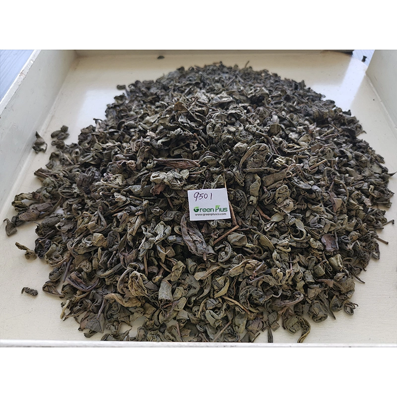 Gunpowder Tea 9501