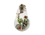 LED Christmas bulb