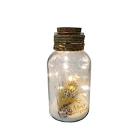 Glass silk printing bottle with string light