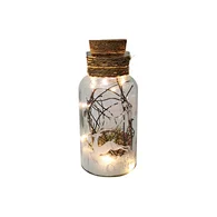 Glass silk printing bottle with string light