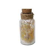 Glass silk printing bottle with string light