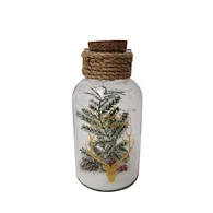 Glass silk printing bottle with string light