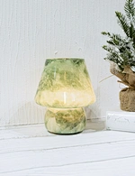 LED glass light
