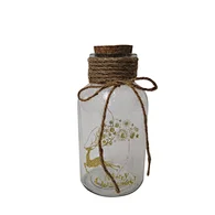 Glass silk printing bottle with string light