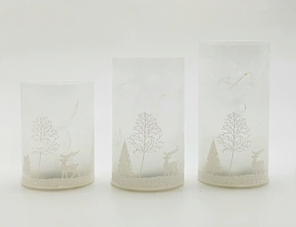 Silk  printing frosted glass cup with string light