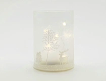 Silk  printing frosted glass cup with string light
