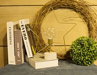 LED iron light