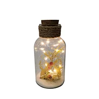 Glass silk printing bottle with string light