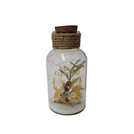 Glass silk printing bottle with string light